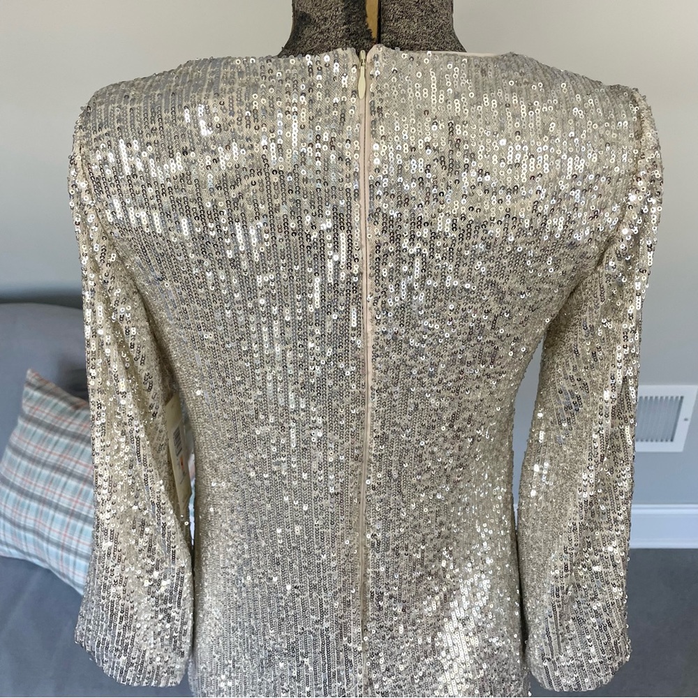 NWT Silver, and cream, Eliza J, double layered sequence dress - Picture 7 of 13